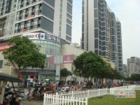 珠江克莱国际公寓实景图图片