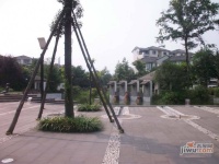 丽水青城实景图图片