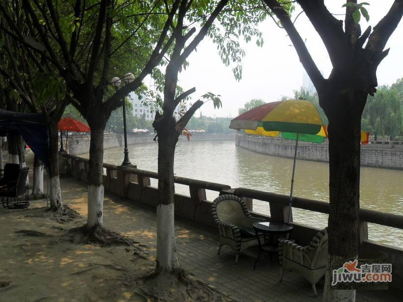 桂湖河畔实景图图片