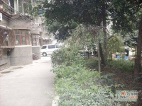 新华南村电力社区实景图图片