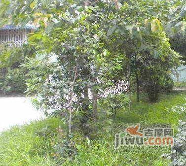 锦宏翠苑实景图图片