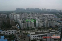尚城东锦实景图图片
