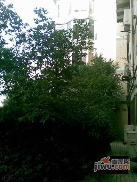 紫薇苑公寓实景图图片