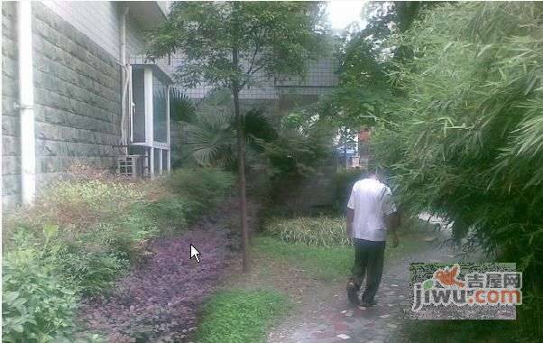 紫薇苑公寓实景图图片