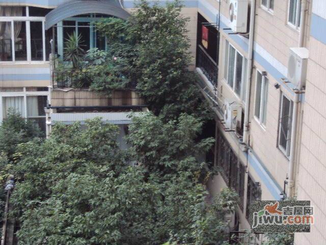 紫薇苑公寓实景图图片