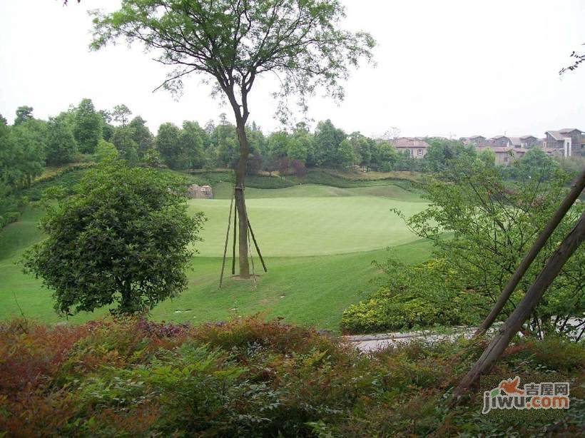 麓山国际水晶岗实景图图片