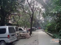 青羊西路小区实景图图片