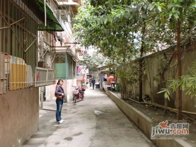 东珠市街小区实景图图片
