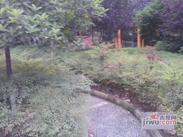 龙锦花园实景图图片