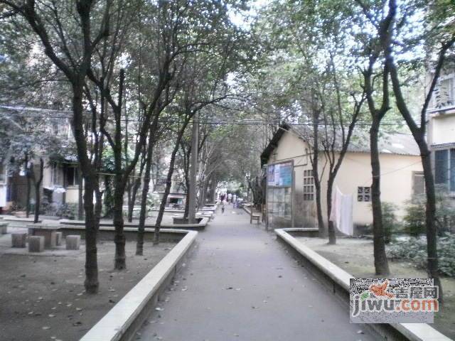 抚琴东南路小区实景图图片