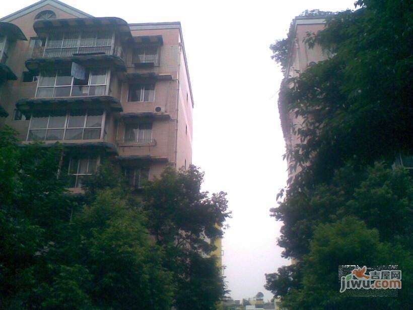 杏园实景图图片