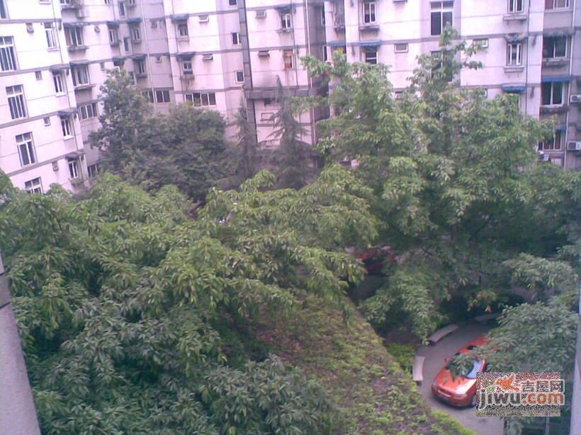 杏园实景图图片