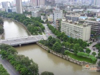 锦江岸实景图图片