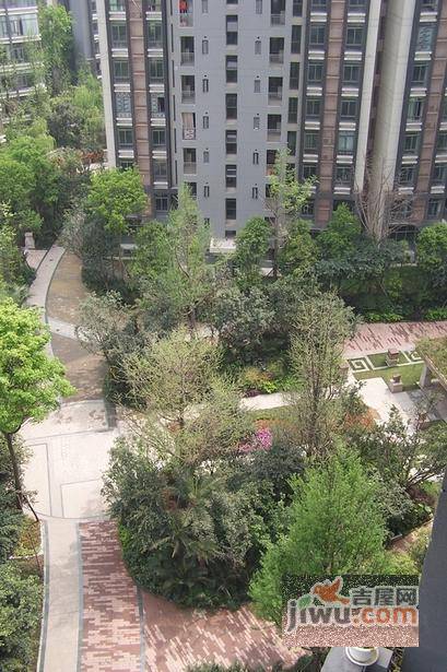 鹭岛国际水晶公寓实景图图片