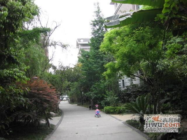中华家园西区实景图图片