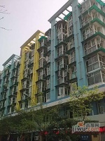 毕加索