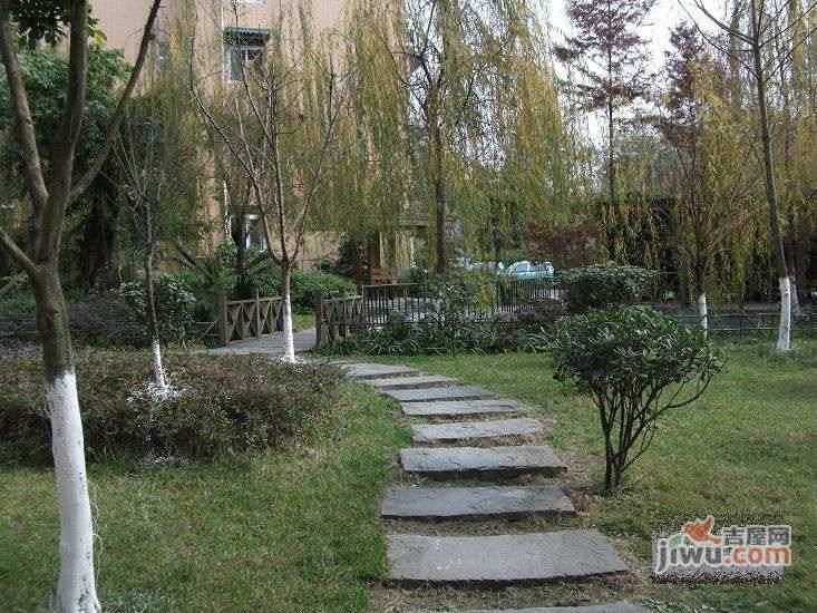 柳城华厦实景图图片