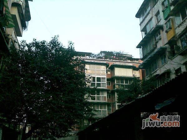 花样年华实景图图片