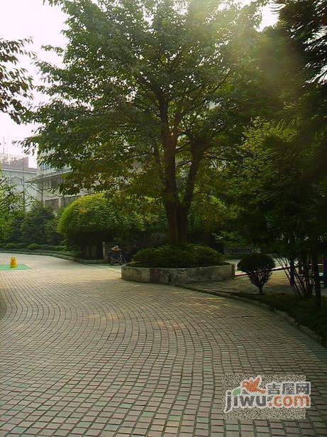 花样年华实景图图片