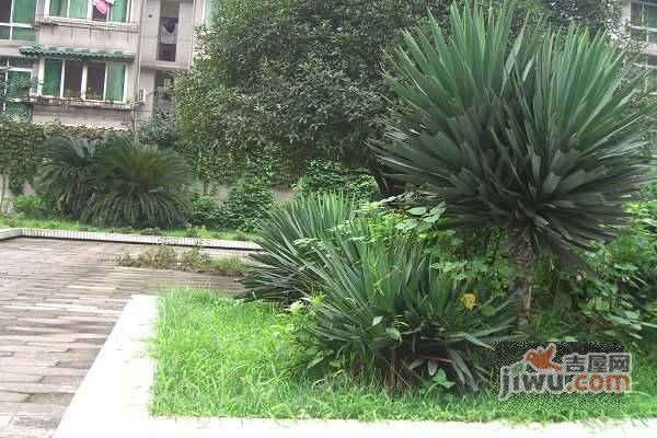 领事馆路小区实景图图片