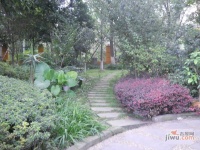 怡馨花园实景图图片