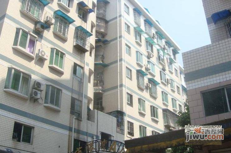 花样年华梦想家实景图图片