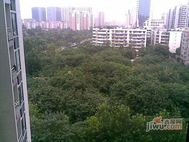 花样年华梦想家实景图图片