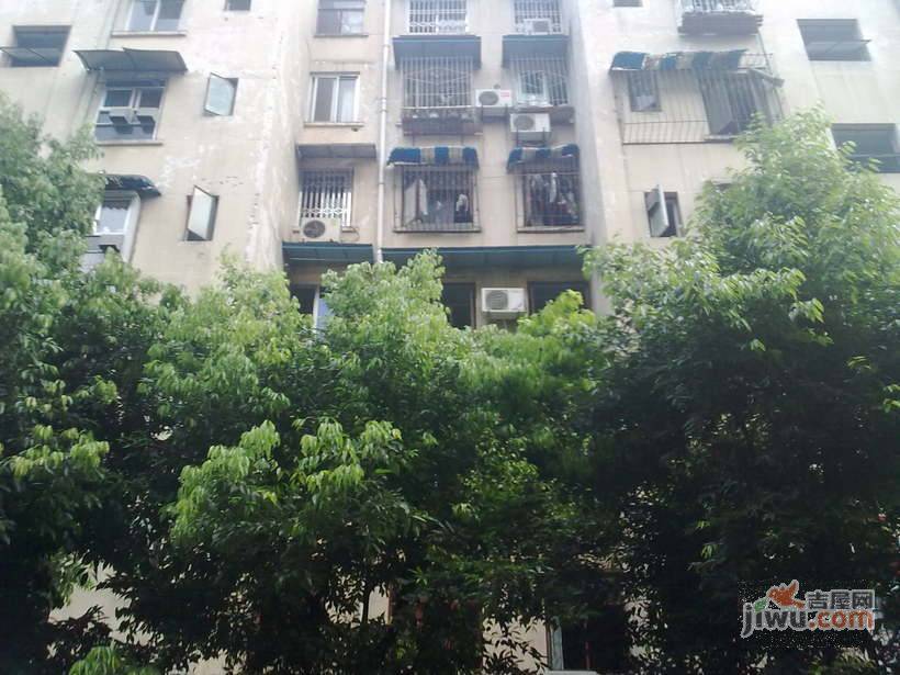 菊园实景图图片