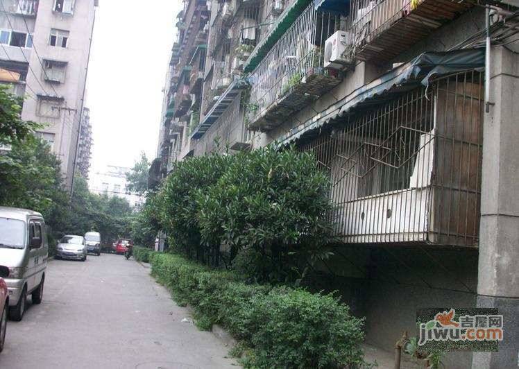 菊园实景图图片