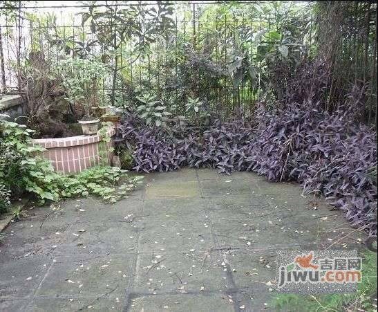 菊园实景图图片
