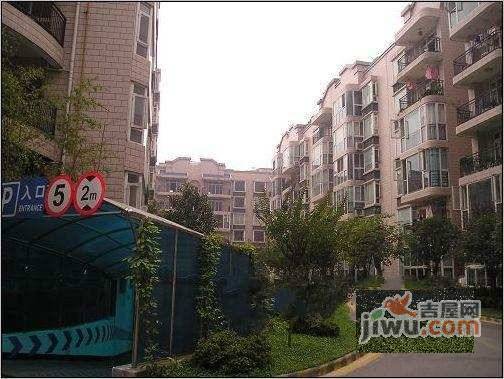 菊园实景图图片