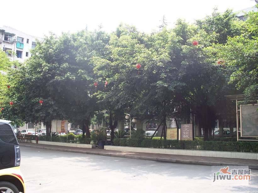 菊园实景图图片