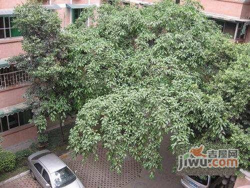 圣合苑实景图图片