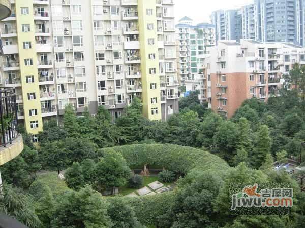 商鼎国际实景图图片