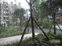 紫东丽景效果图