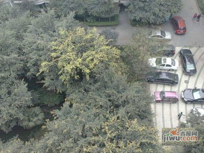 新华苑实景图图片