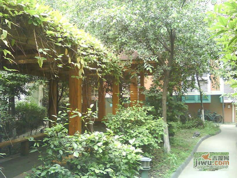 新华苑实景图图片