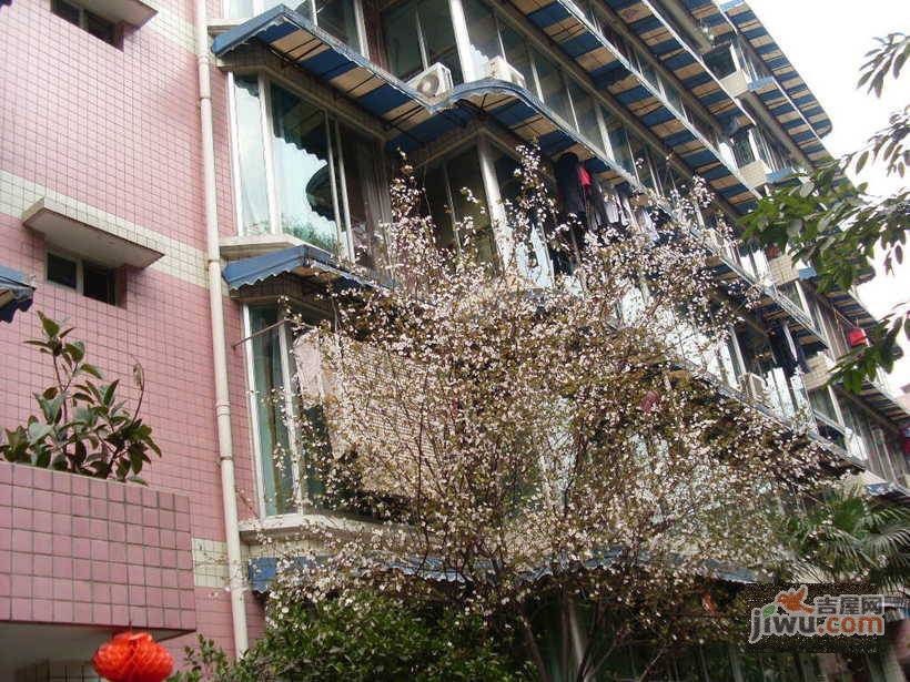 新华苑实景图图片