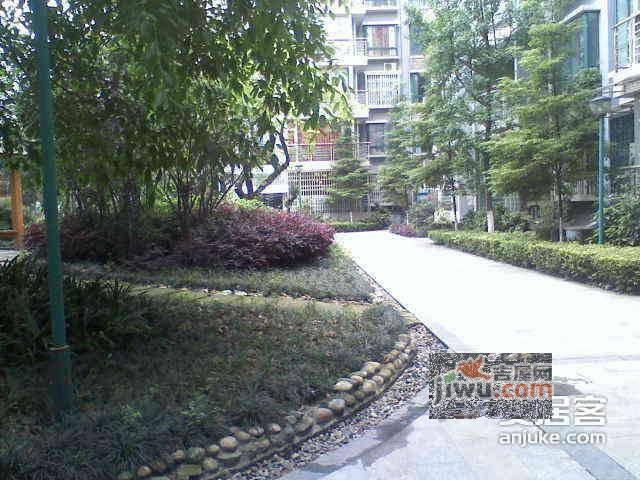 双楠风景实景图图片