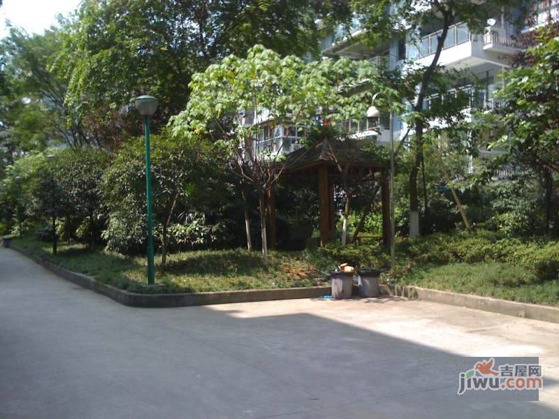 双楠风景实景图图片