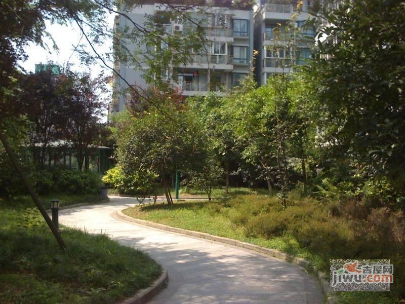 双楠风景实景图图片