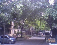 光荣西路小区实景图图片