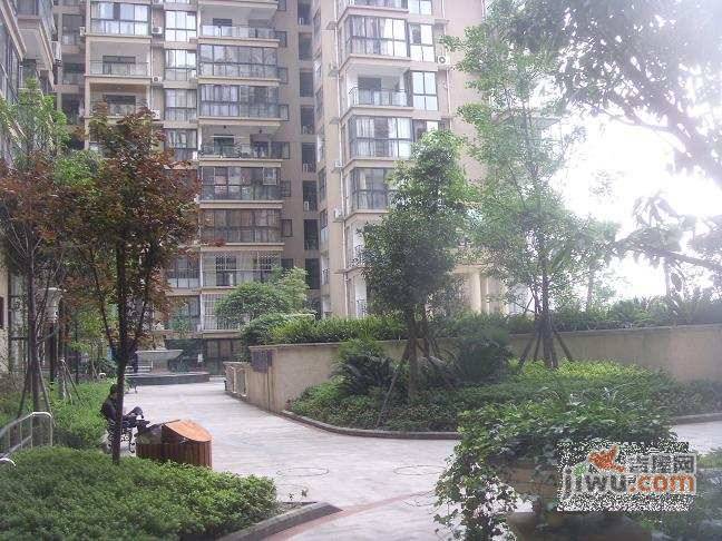丽都帝景实景图图片