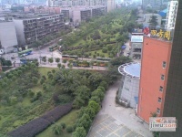 成功格林尚城实景图图片