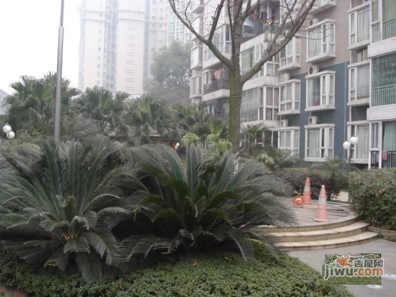 新筑小区实景图图片