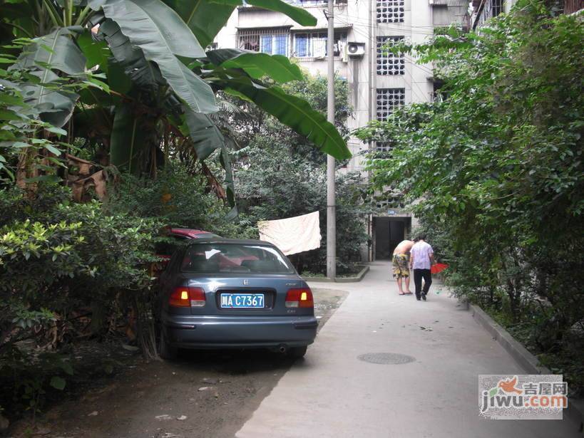 金琴路南二巷小区实景图图片