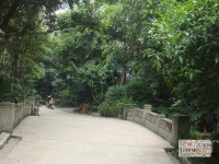 滨河花园实景图图片