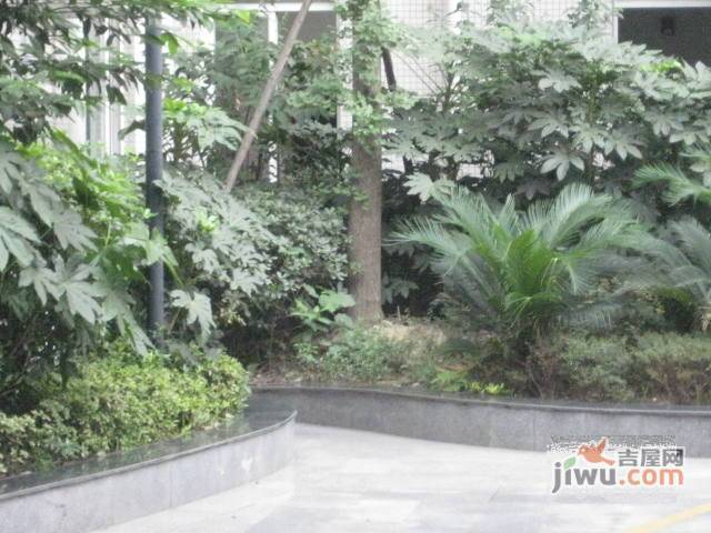 鑫城立方生活实景图图片