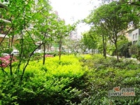 东方桂苑实景图图片
