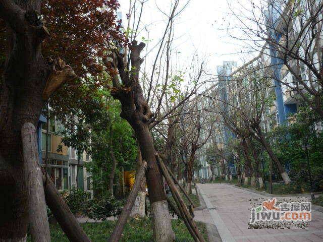 宏景园实景图图片